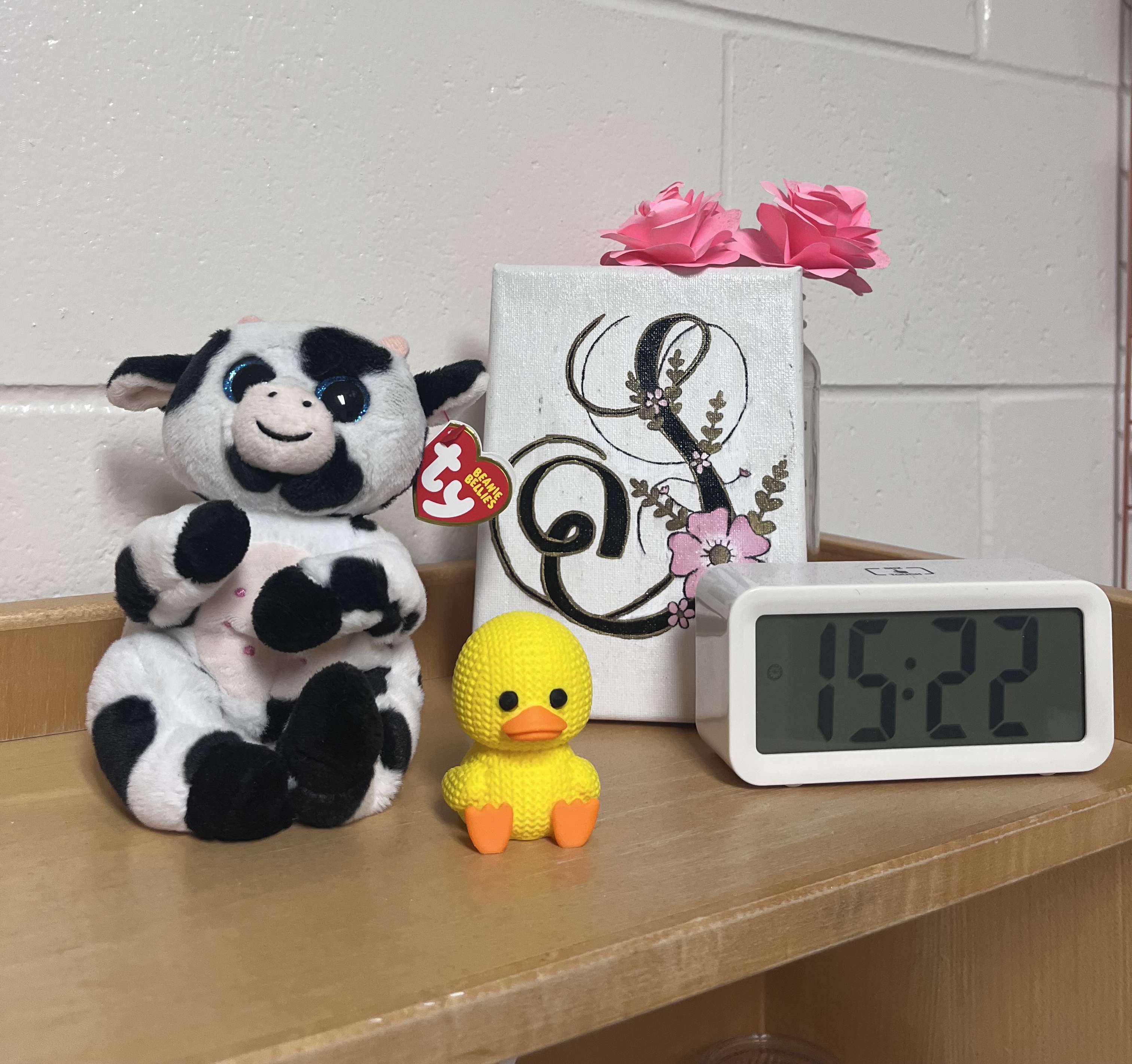 Adorable Knitted Duck